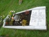 image of grave number 134816